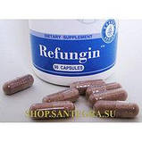 Refungin (Рефунгін) — очищення від паразитів і кандидозу Santegra Сантегра, фото 3