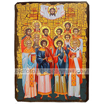 Ікона Собор 12-ти святих цілителів ,ікона на дереві 130х170 мм
