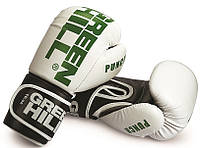 Боксерские перчатки "PUNCH" GREEN HILL 10-12 OZ