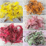 Пір'я декоративне кольорове, 150 шт/уп.,, фото 3