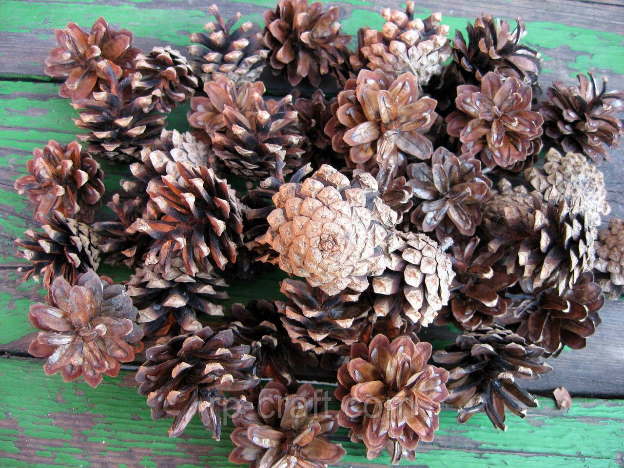 Маленькі соснові шишки, 300 грам, близько 45-55 штук, фото 1