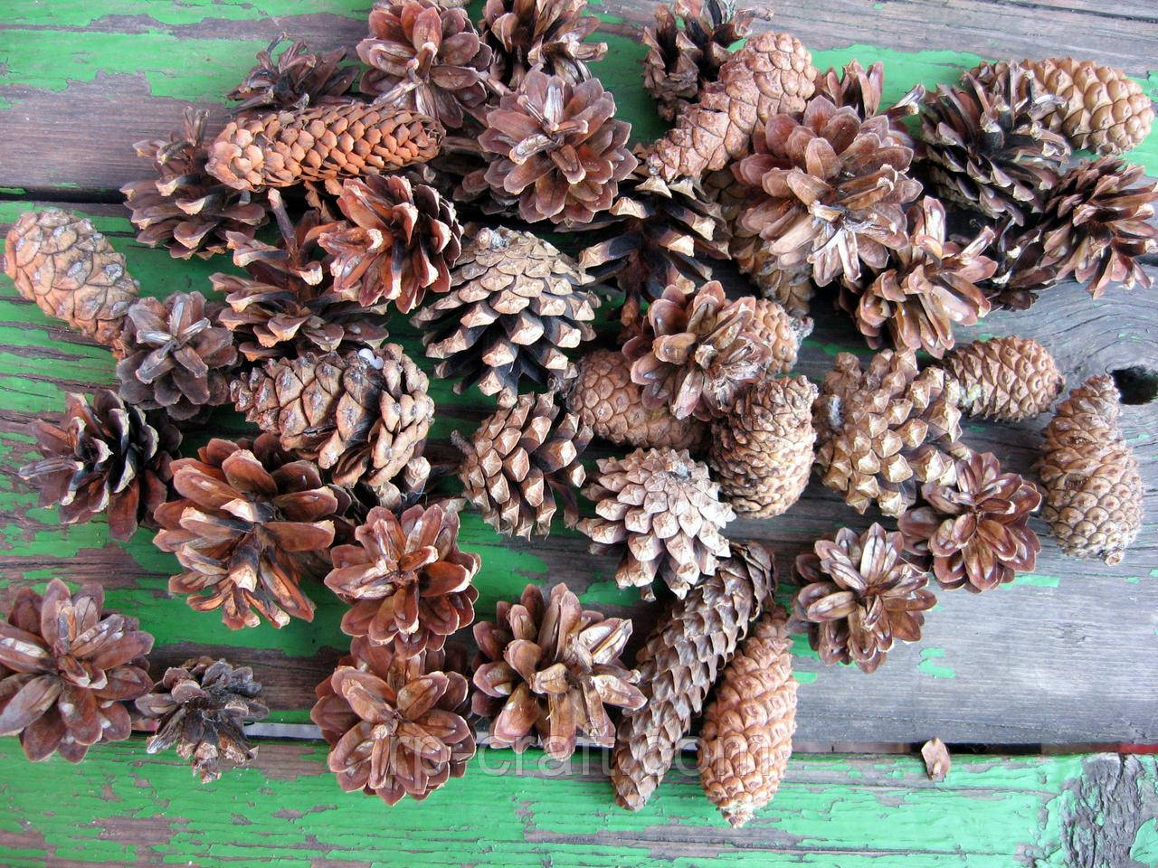 Маленькі соснові та ялинові шишки, 300 грам, близько 45-55 штук, мікс, фото 1