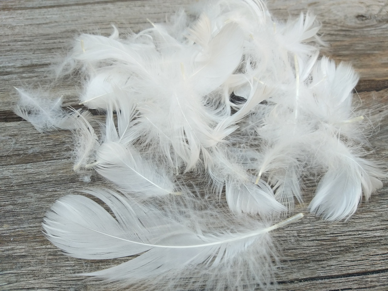 Пір'я біле натуральне, 150 шт/уп., (4-5 гр), фото 1