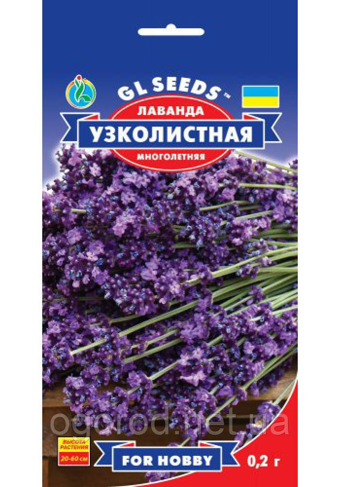 Лаванда вузьколиста багаторічна GL Seeds
