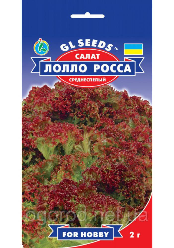 Салат Лоло Росса рожеве насіння GL Seeds