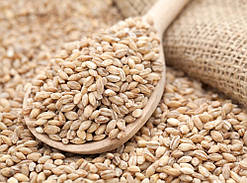 Перлова крупа перлівка 1 кг