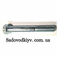 Болт крепление ножа Oleo-Mac (Emak 3906162R)