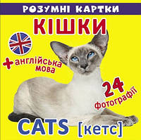 Розумні картки В7 "Розумні картки.Кішки" 12 карток №9024/Кристал Бук/(10)