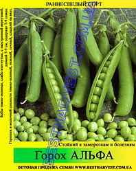 Насіння гороха «Альфа» 1 кг (Україна) — ранньостиглий сорт для свіжого споживання та консервування