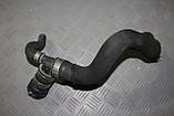 Шланг, патрубок системи охолодження нижній 4E0121055C Audi A8 D3/4E 2002-2005, фото 2
