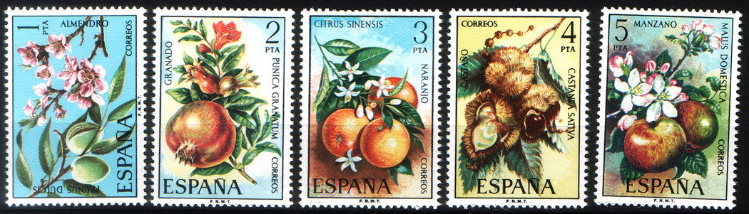 Іспанія 1975 Espana квіти фрукти MNH XF