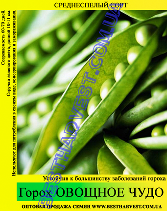 Насіння гороху «Овочеве Диво» 1кг, фото 2