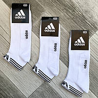 Носки мужские спортивные х/б с сеткой Adidas Athletic, размер 41-44, короткие, белые, 12610