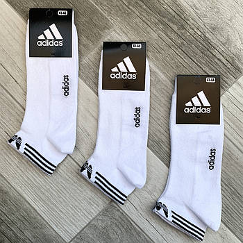 Шкарпетки чоловічі спортивні х/б з сіткою Adidas Athletic, розмір 41-44, короткі, білі, 12610