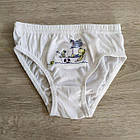 Труси для дівчинки бавовна Кіт і мишки Польща. Трусики для дівчинки, фото 5
