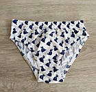 Труси для дівчинки бавовна Кіт і мишки Польща. Трусики для дівчинки, фото 4