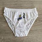 Труси для дівчинки бавовна Кіт і мишки Польща. Трусики для дівчинки, фото 3