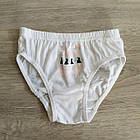 Труси для дівчинки бавовна Кіт і мишки Польща. Трусики для дівчинки, фото 2