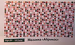 Мозаїка «Абрикос» Арт.№165ма 4620772256250, фото 6