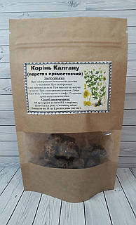 Калган, Лапчатка прямостояча