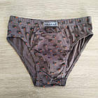 Труси дитячі для хлопчика бавовна прямокутник Natural Club Польща, фото 4