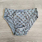 Труси дитячі для хлопчика бавовна прямокутник Natural Club Польща, фото 6