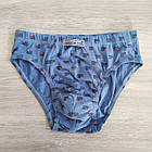 Труси дитячі для хлопчика бавовна прямокутник Natural Club Польща, фото 7