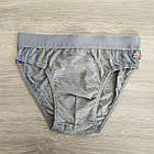 Труси підліткові для хлопчика бавовна Спорт Natural Club Польща, фото 3