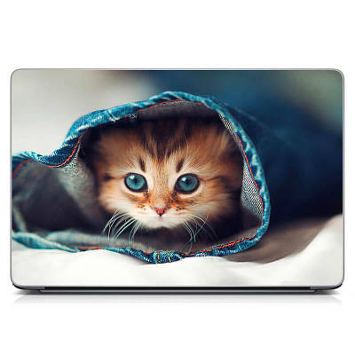Наклейка на кришку ноутбука 15.6"-13.3" Ginger kitty Матова, наклейки на ноутбук захисні