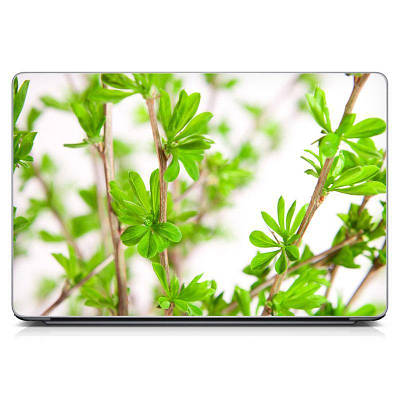 Наклейка на ноутбук 15.6"-13.3" Green tree Матова 380х250 мм, наклейки на Макбук, Macbook та інші ноутбуки