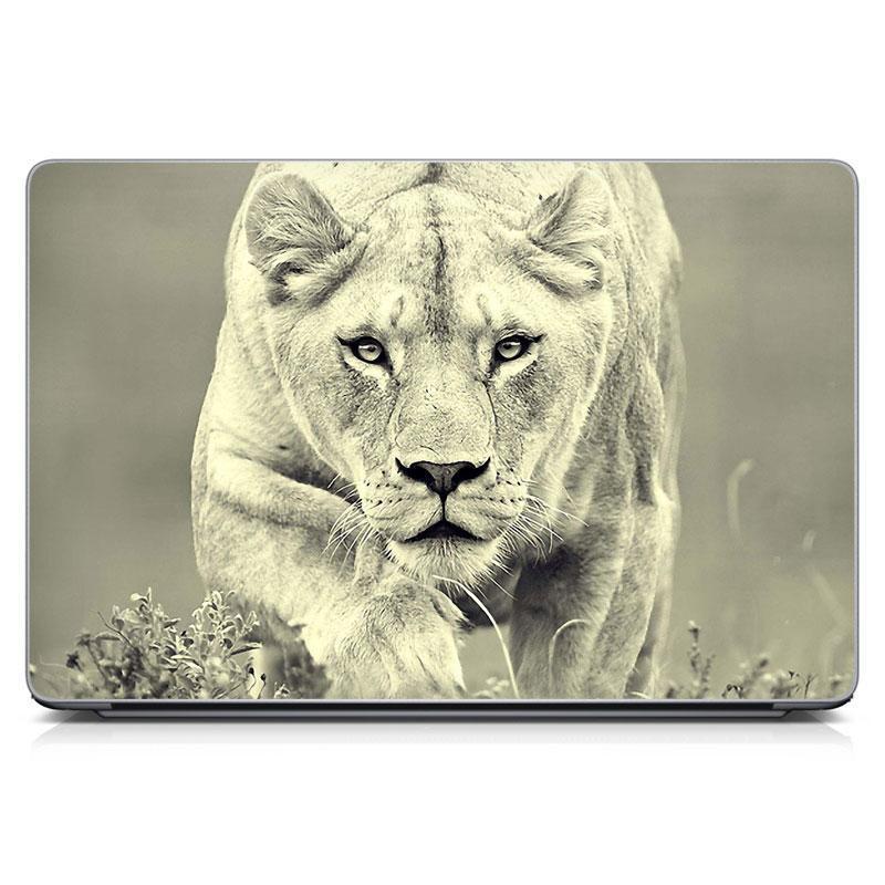 Універсальна вінілова наклейка на ноутбук 15.6"-13.3" lioness Матова 380х250 мм, топові наклейки для ноутбука