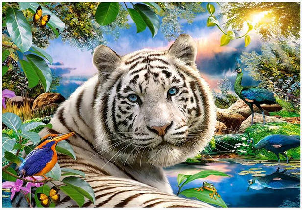 Пазл 1500 ел. "Castorland" (Польща) / Білий тигр, фото 2