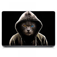 Наклейка на корпус ноутбука 15.6"-13.3" Кот в капюшоне Матовая 380х250 мм, подарок на День рождения