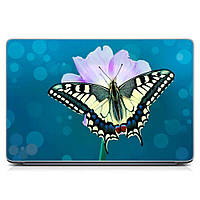 Универсальная виниловая наклейка на ноутбук 15.6"-13.3" Махаон Матовая 380х250 мм, наклейки для ноутбука