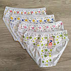 Труси жіночі 100% бавовна Мікс Польща, фото 2