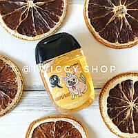 Санітайзер для рук PocketBac Fresh As Grapefruit WashYourBody