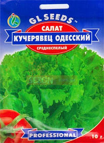 Насіння салату Одеський Кучерявець 10 г, GL SEEDS