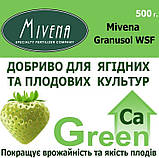 Добриво для полуниці ягідних і плодових культур з кальцієм Mivena Granusol WSF 17-10-17-12CaO-TE-MV10-Green, фото 3