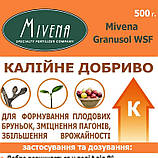 Калійне добриво Mivena Granusol WSF 4,5-11-36-5MgO-TE-MV10 для збільшення врожайності, зміцнення пагонів, фото 3