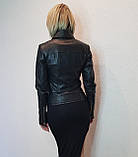 Жіноча шкіряна куртка "косуха"чорна Rio. Туреччина, фото 7