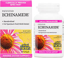 Ехінацея екстракт Echinamide 250 мг 60 капс підвищення імунітету Natural Factors USA