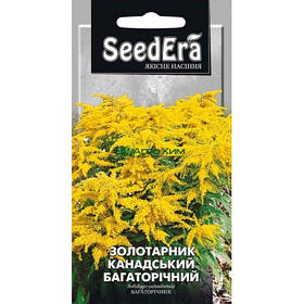 Насіння Золотарник канадський 0,1 г, Seedera