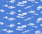 Хмари (Clouds) MSD Premium (ширина до 3,2 мп). Ексклюзив ПВХ плівка для натяжних стель, фото 2