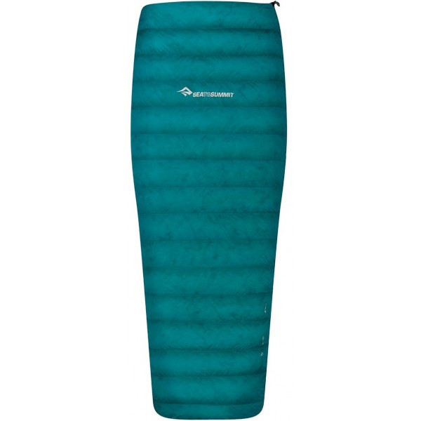 Спальник Sea To Summit Traveller TRII Regular