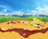 Трубочка кукурудзяна безглютенова з лісовим горіхом 18г Balila, фото 3