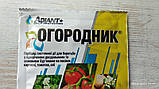 Огородник ВГ (Зенкор) Гербіцид системноїї дії 20г картопя/томати (метрибузин 700г/кг) Адіант, фото 2