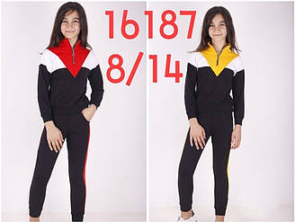 Дитячий спортивний костюм для дівчинки, демісезонний, ToonToy