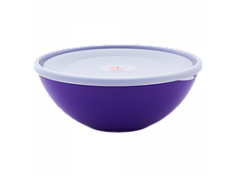 Миска з кришкою пластикова 0,8л темно-бузкова/прозора Алеана