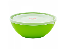 Миска з кришкою пластикова 3л оливкова/прозора Алеана