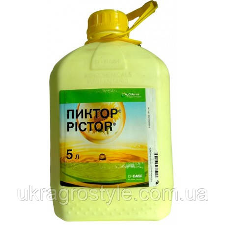 Фунгіцид Піктор 5 л., фото 1